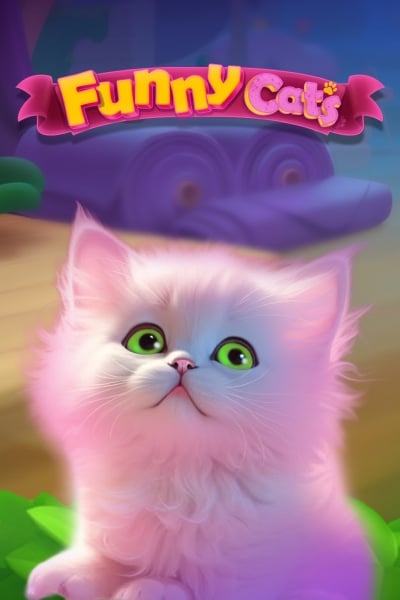 Funny Cats